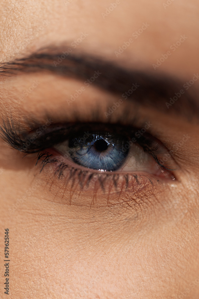 Female face with eyebrows, eyelashes and a blue beautiful eye, macro. Vision concept Female face with eyebrows, eyelashes and a blue beautiful eye, macro. Vision concept