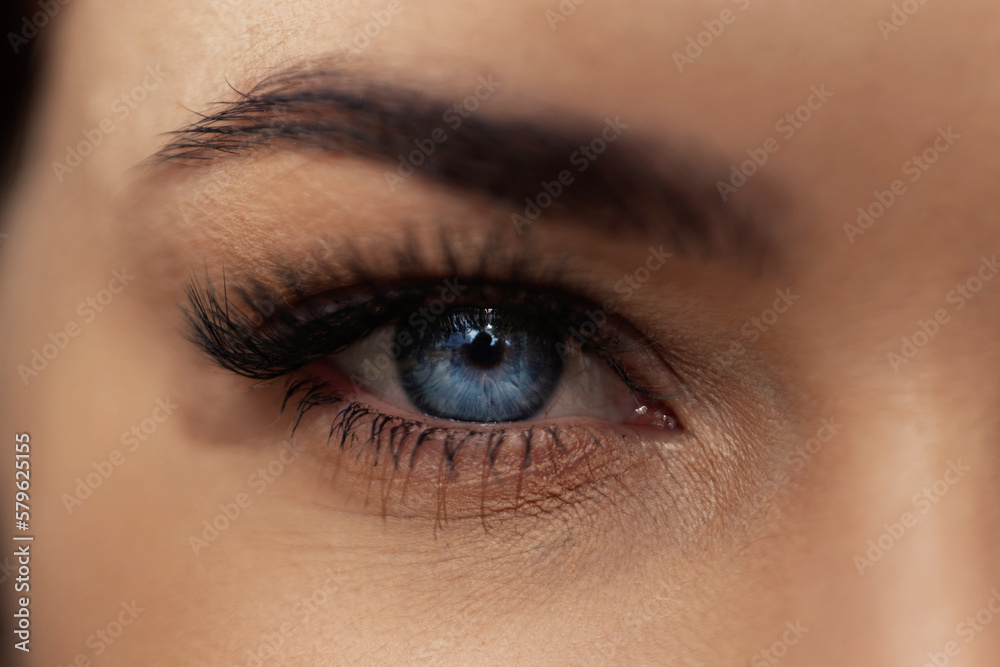 Female face with eyebrows, eyelashes and a blue beautiful eye, macro. Vision concept Female face with eyebrows, eyelashes and a blue beautiful eye, macro. Vision concept