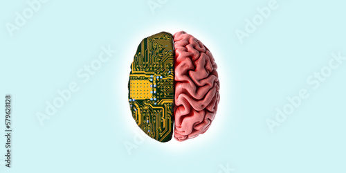 Obraz na plátně The human brain with two halves - live brain and electric circuit green motherboard