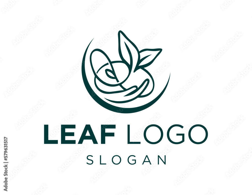 Logo about Leaf on a white background. created using the CorelDraw application. Logo about Leaf on a white background. created using the CorelDraw application.