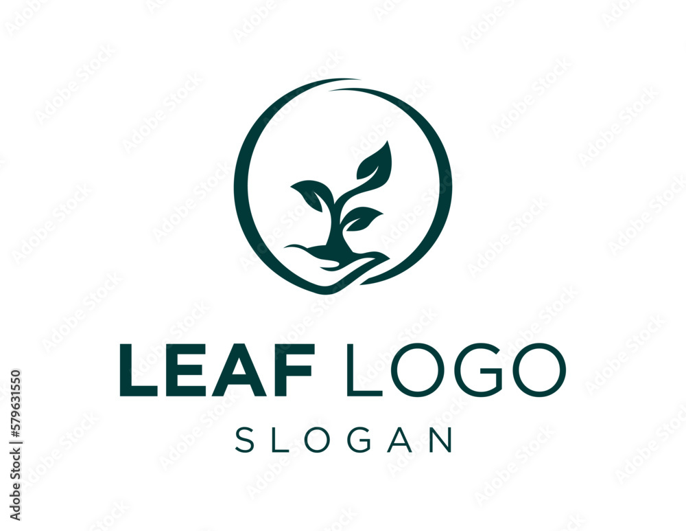 Logo about Leaf on a white background. created using the CorelDraw application. Logo about Leaf on a white background. created using the CorelDraw application.
