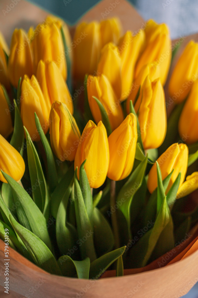 Beautiful yellow tulips. Spring flowers. Women's Day Beautiful yellow tulips. Spring flowers. Women's Day