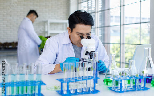 Asian professional male scientist researcher in white lab coat rubber gloves sitting using microscope looking at green salad vegetable sample on table with test tube and flask with colleague behind