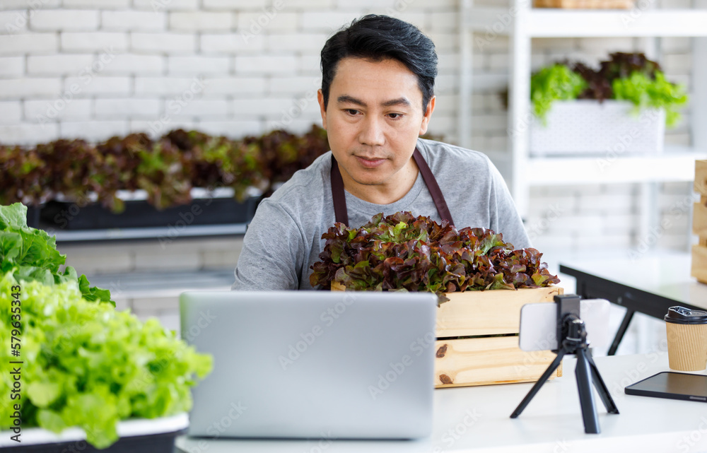 Millennial Asian professional male farmer gardener in apron holding fresh raw organic green leaf salad vegetable in wooden crate talking selling online via smartphone live streaming via internet