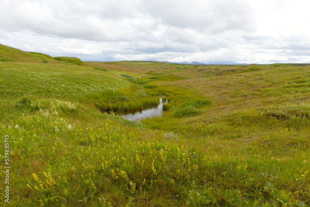 Obraz premium Landscape near Hella near the volcano Hekla