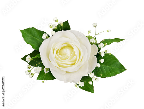 Fototapete White rose and gypsophila flowers in a floral arrangement isolated on white or t