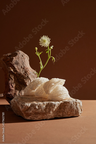 Edible bird’s nests are arranged on a stone and embellished with white flower branches. Bird's nest is well-liked in Asia because it promotes skin barrier health and has anti-aging benefits. photo