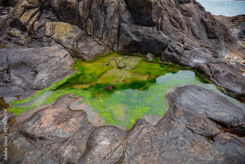 фотографія stagnant water on stones, green moss