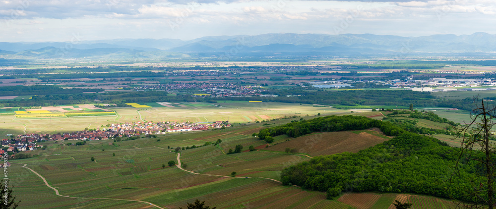 La plaine d'Alsace vue depuis les hauteurs de Kaysersberg vignoble, CEA, Alsace, Grand Est, France