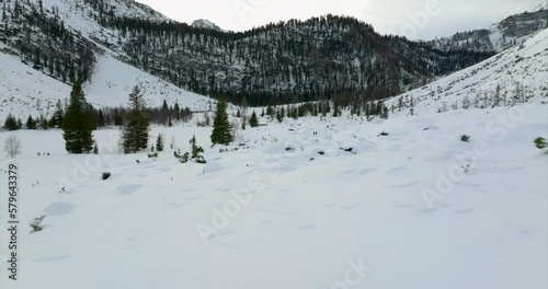 Snowy landscape. Winter weather with mountains on the horizon. Forward aerial shot. Upper Trentino, Adige, Marebbe. photo