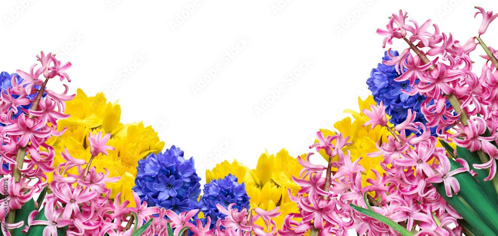 Naklejka premium wiosenne kwiaty na przezroczystym tle, png
