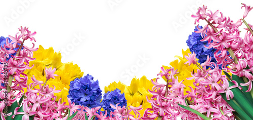 Fototapeta Naklejka Na Ścianę i Meble -  wiosenne kwiaty na przezroczystym tle, png