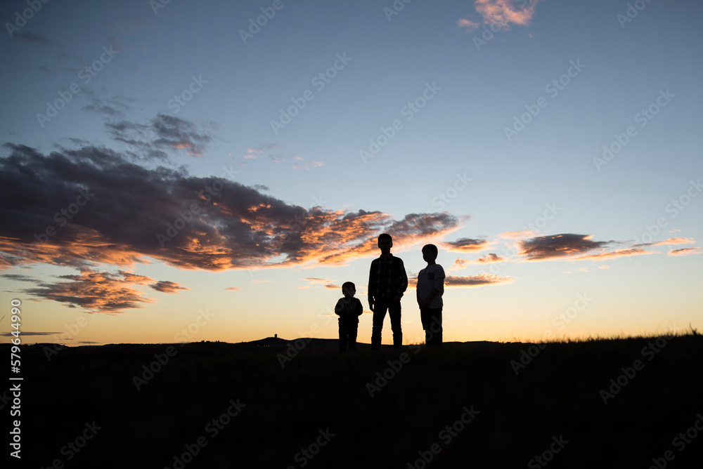 Silhouette brothers standing on field against sky during sunset Silhouette brothers standing on field against sky during sunset