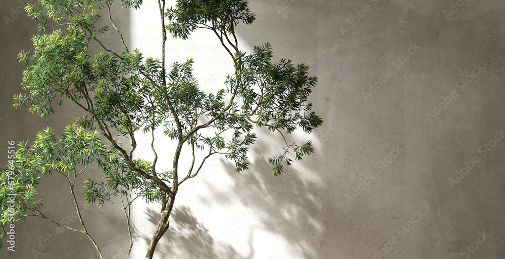 Beautiful Tropical Tree With Green Small Lanceolate Leaf Shape In beautiful-tropical-tree-with-green-small-lanceolate-leaf-shape-in