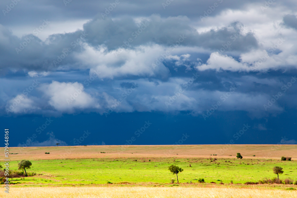 Stormy clouds with rain shower over the savannah in the wet season at Masai Mara, Kenya, Africa
Stormy clouds with rain shower over the savannah in the wet season at Masai Mara, Kenya, Africa