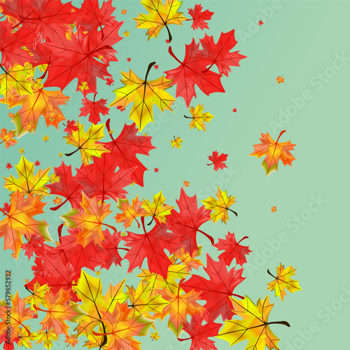 Colorful Floral Background Green Vector. Foliage September Template. Autumnal Pattern Leaves. Realistic Plant Illustration.