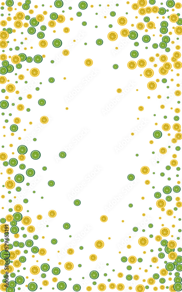 Bright Fruit Background White Vector. Citrus Drawing Set. Green Slice Lime. Juicy Levitation Pattern.