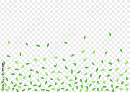 Light Green Leaves Background Transparent Vector. Plant Copy Card. Rustic Design. Greenish Decoration Frame. Greenery Environmental.