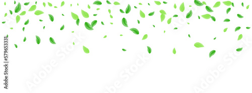 Greenish Vegetation Background White Vector. Leaves Falling Illustration. Template Texture. Green Space Design. Leaf Spring.