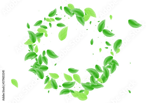 Greenish Foliage Background White Vector. Greenery Style Card. Bio Design. Green Cosmetic Frame. Plant Environment.