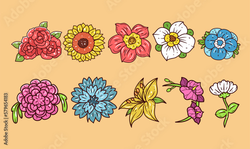 Flower vector hand-drawn illustration set