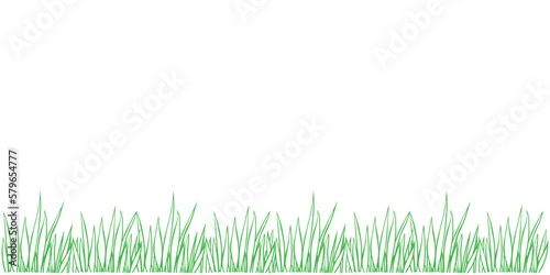 Vector green outline of grass isolated on white background. Herbal Border, horizontal bottom edging, lawn panoramic landscape. Template, design element, illustration