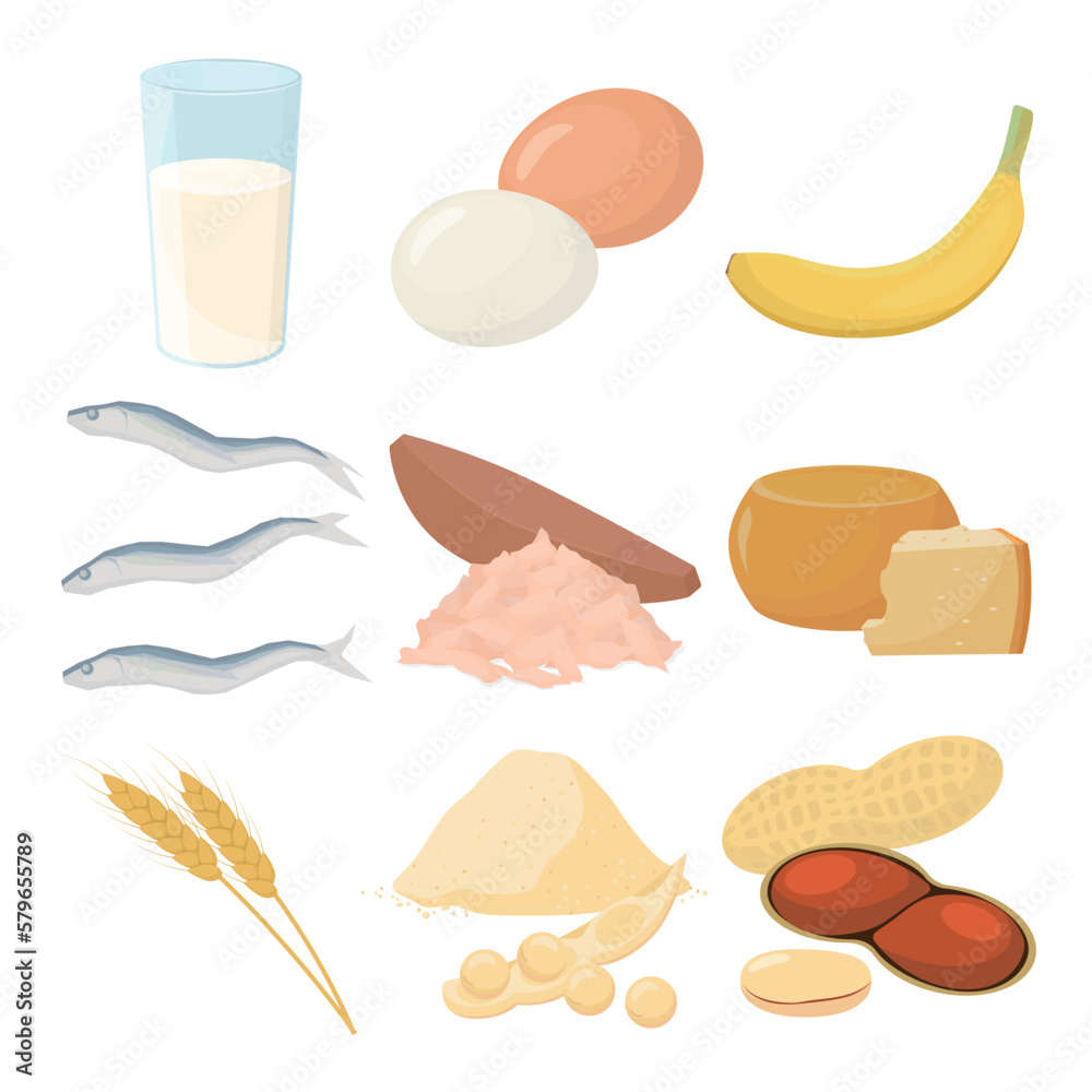 Vector illustration of foods containing tyrosine.