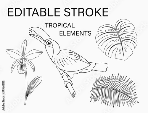 Set of tropical illustrations with toucan bird sitting on branch, tropical foliage, bouquet of orchids, sun icon. Holiday summer theme. Editable stroke