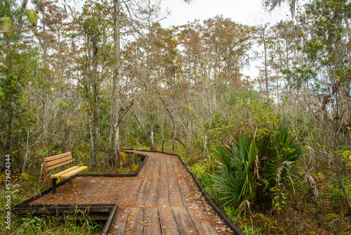 Bench on a boardwalk trail through wild Louisiana swamp and marsh in Barataria Preserve outside Marrero near New Orleans  USA