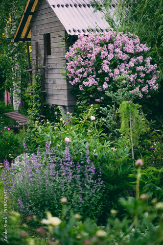 Photos Cottage english garden in spring