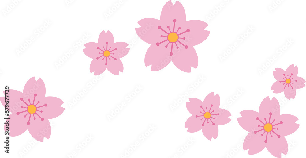 Beautiful pink Sakura Cherry Blossom illustration.