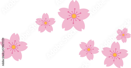 Fototapeta Naklejka Na Ścianę i Meble -  Beautiful pink Sakura Cherry Blossom illustration.