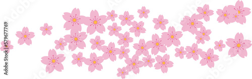 Beautiful pink Sakura Cherry Blossom illustration.