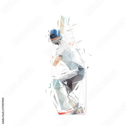 Leinwand Poster Cricket player, isolated low polygonal vector illustration, cricketer, striking