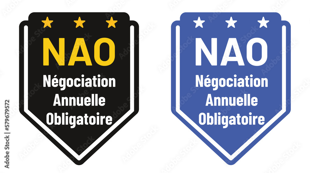 NAO - négociation annuelle obligatoire en france