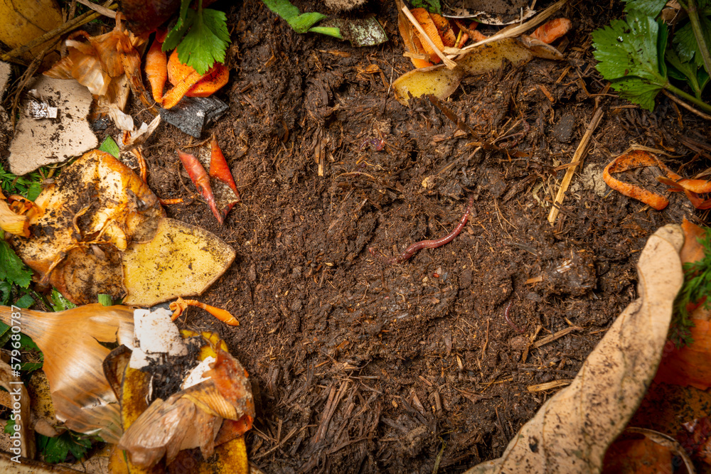 organic living compost in the detail. You can see biodegradable kitchen waste, wood ash, paper, soil and earthworms