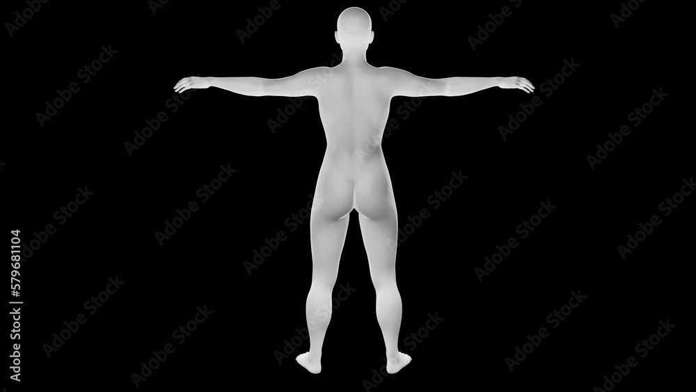 Beautiful athletic young woman posing isolated on black - 3d illustration, rendering. Viewed from back Beautiful athletic young woman posing isolated on black - 3d illustration, rendering. Viewed from back