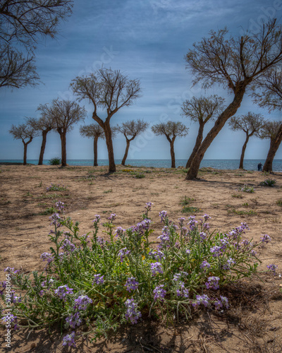 Salento