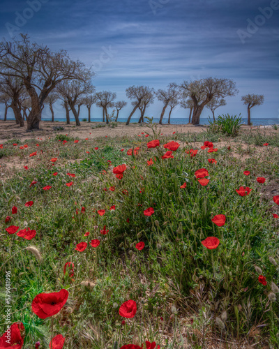 Salento