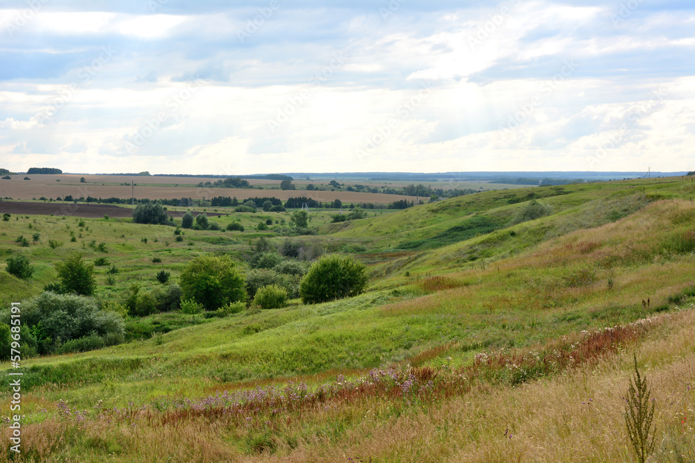 A grassy landscape with green hills and a few trees and a cloudy sky 