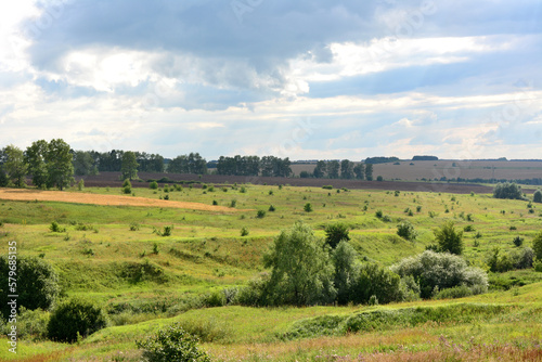A field with trees and a cloudy sky with green hills and forest line  © Irina