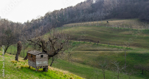 View of the hills of San Zenone degli Ezzelini, Treviso - Italy photo