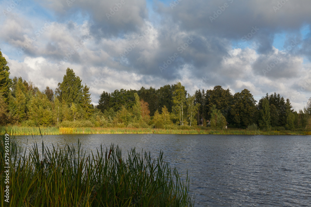 Fototapeta premium Lake in the forest and meadows. Cloudy day.