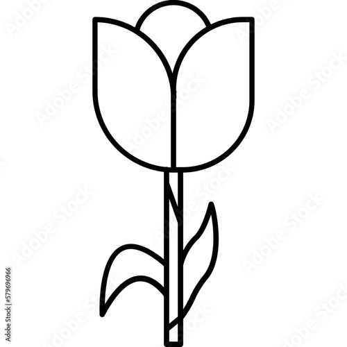Tulip which can easily edit or modify
