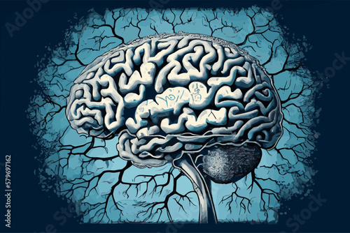Human brain illustration