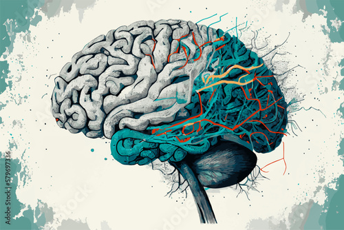 Human brain illustration