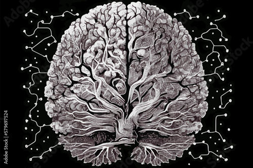 Human brain illustration