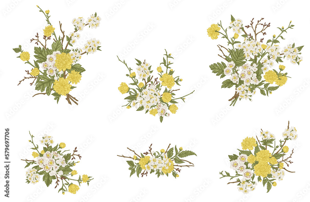 Set with flower bouquets, Isolated on transparent background. Vintage illustration. Flower arrangements with cherry, Japanese kerria and hawthorn. Set with flower bouquets, Isolated on transparent background. Vintage illustration. Flower arrangements with cherry, Japanese kerria and hawthorn.