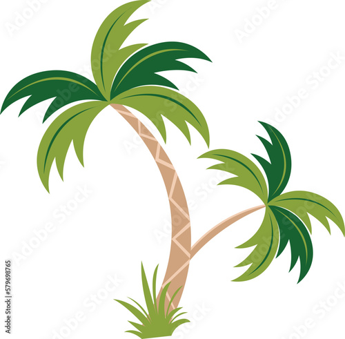 Palm tree vector and arts 