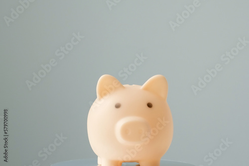 Piggy bank saving money for future and retirement fund  business or finance and investment money